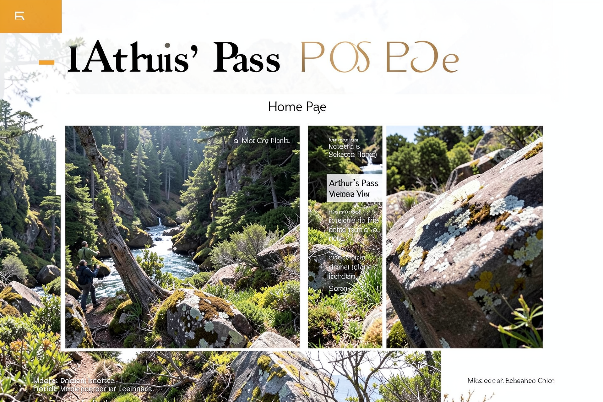 Arthur's Pass Webcam View